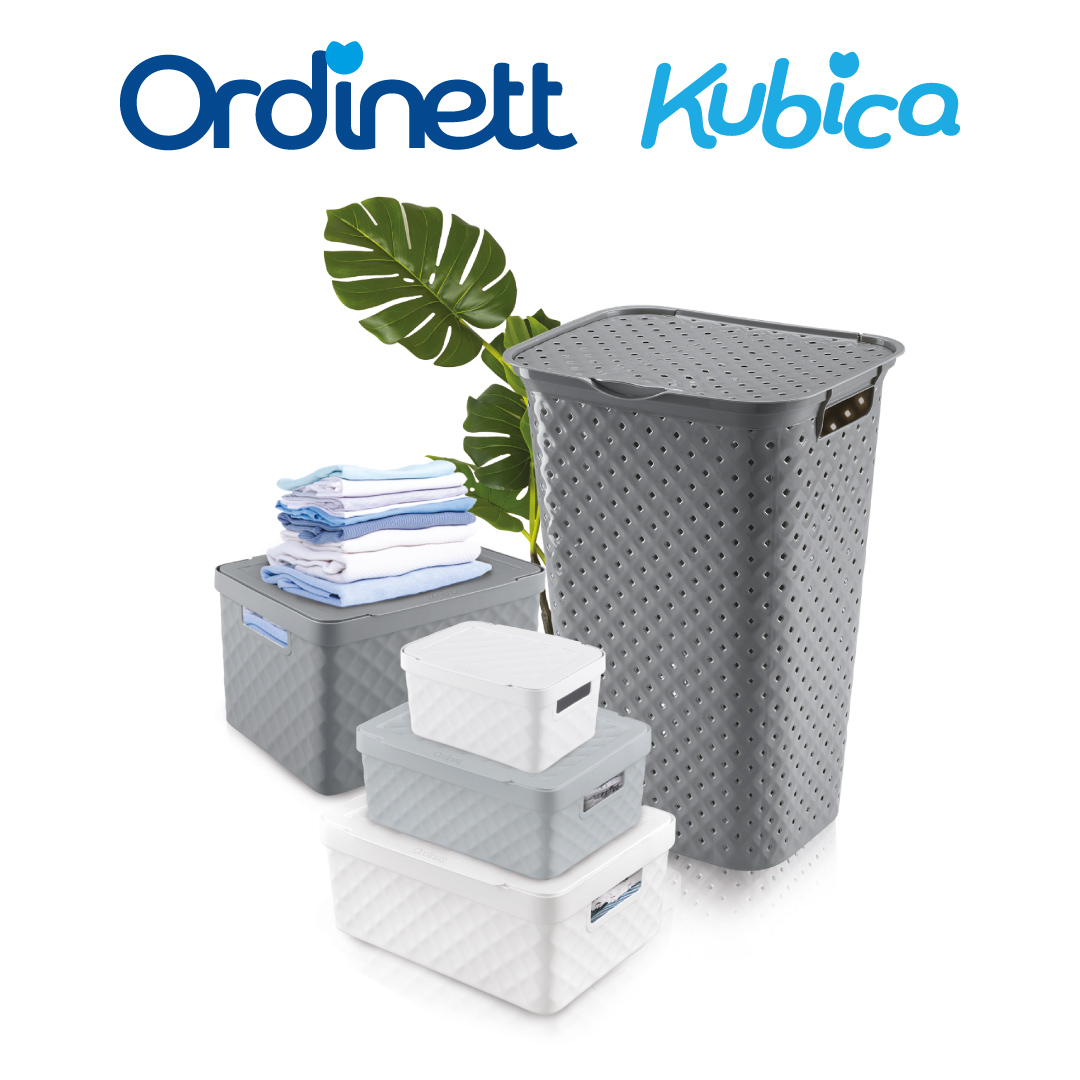 Ordinett Scatola in Plastica, Grigio Scuro, Medio : : Casa e cucina